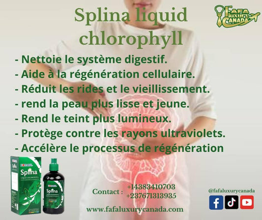 CHLOROPHYLLE   LIQUIDE  SPLINA- ÉQUILIBRE-NOURRIT-RAJEUNIT-EMBELLIT